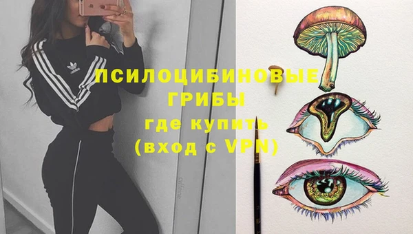 синтетический гашиш Бородино